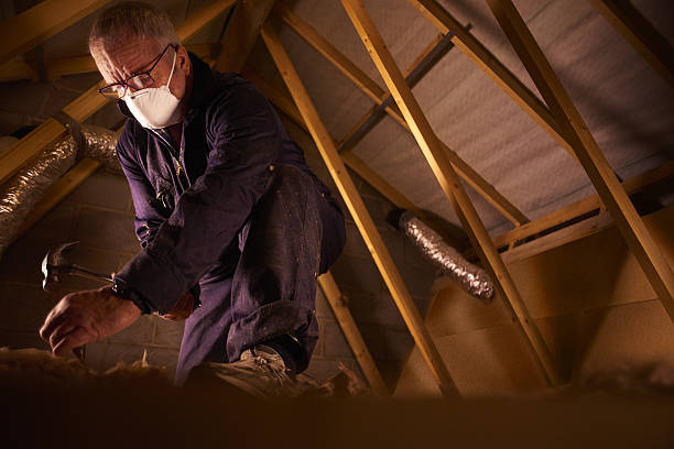 Best Insulation Maintenance and Repair in Riverside, CT
